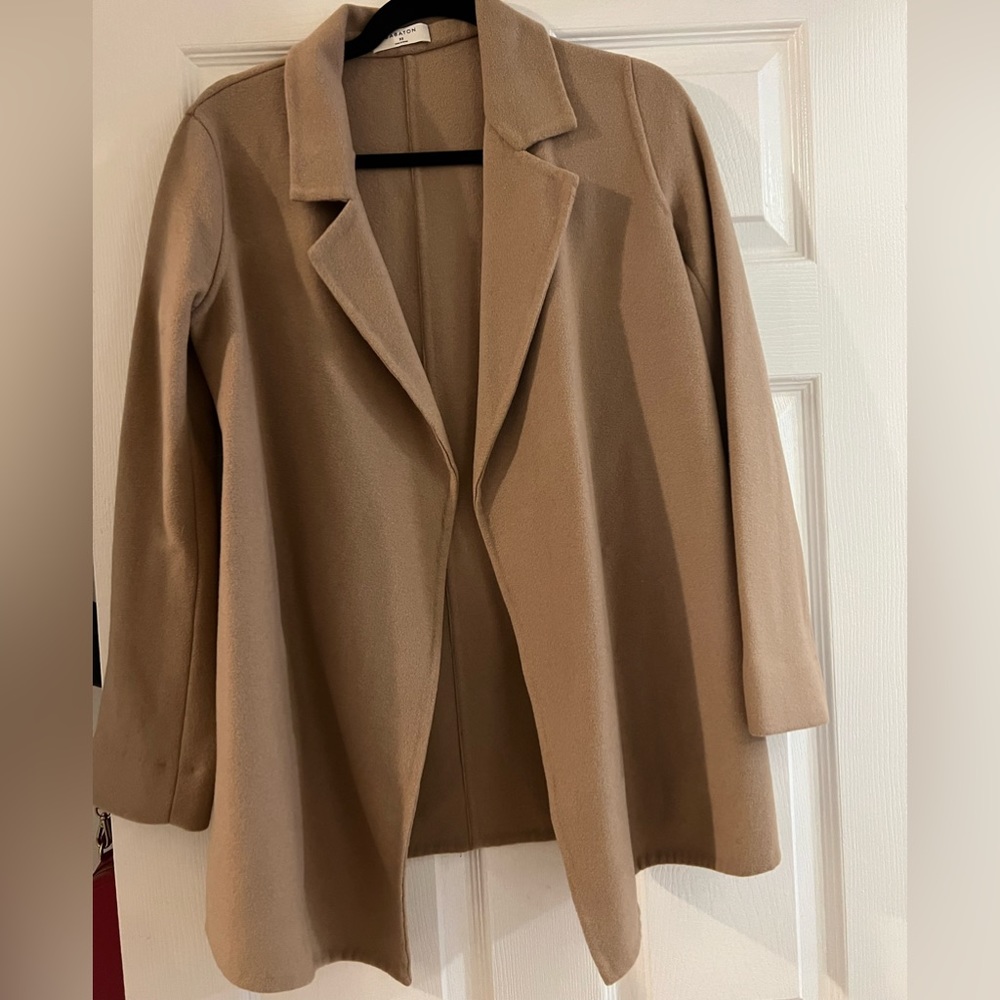 Aritzia Babaton coat
